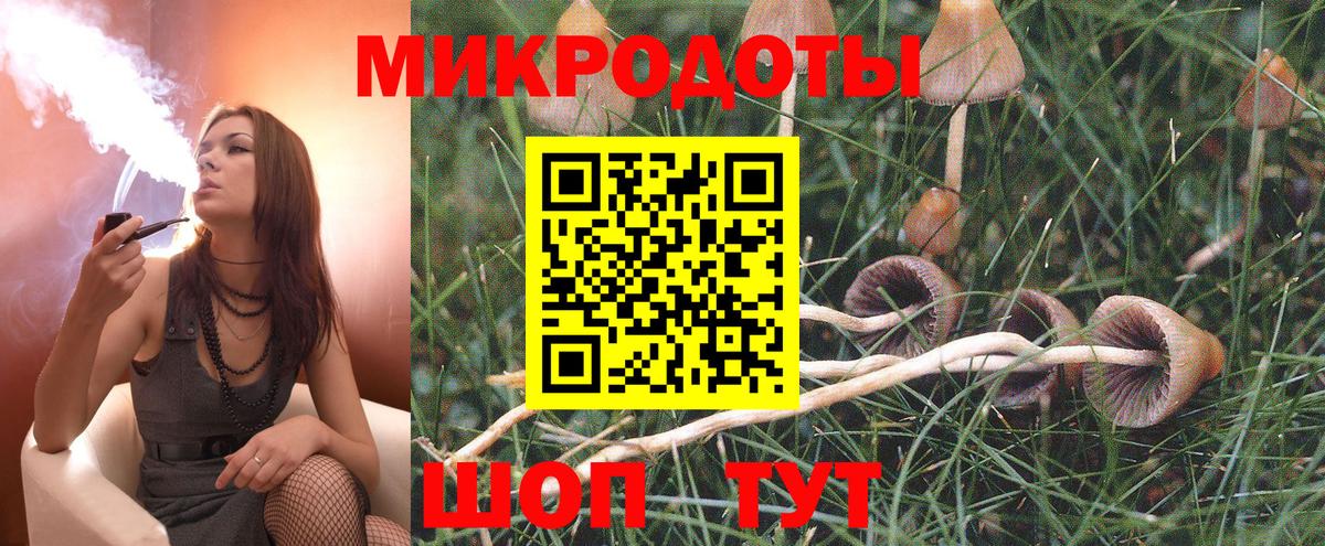 купить   Псилоцибиновые грибы Psilocybine cubensis  Вход с VPN  Приморско-Ахтарск  Галлюциногенные грибы мицелий 